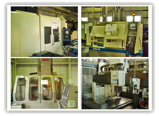 �`�^�����H�E�X�e�����X���H�Ȃǐ������i���H